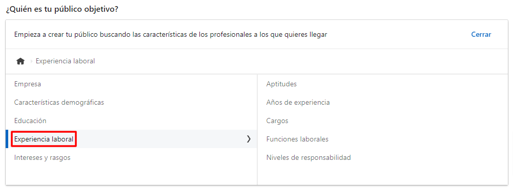 audiencias en linkedin ads